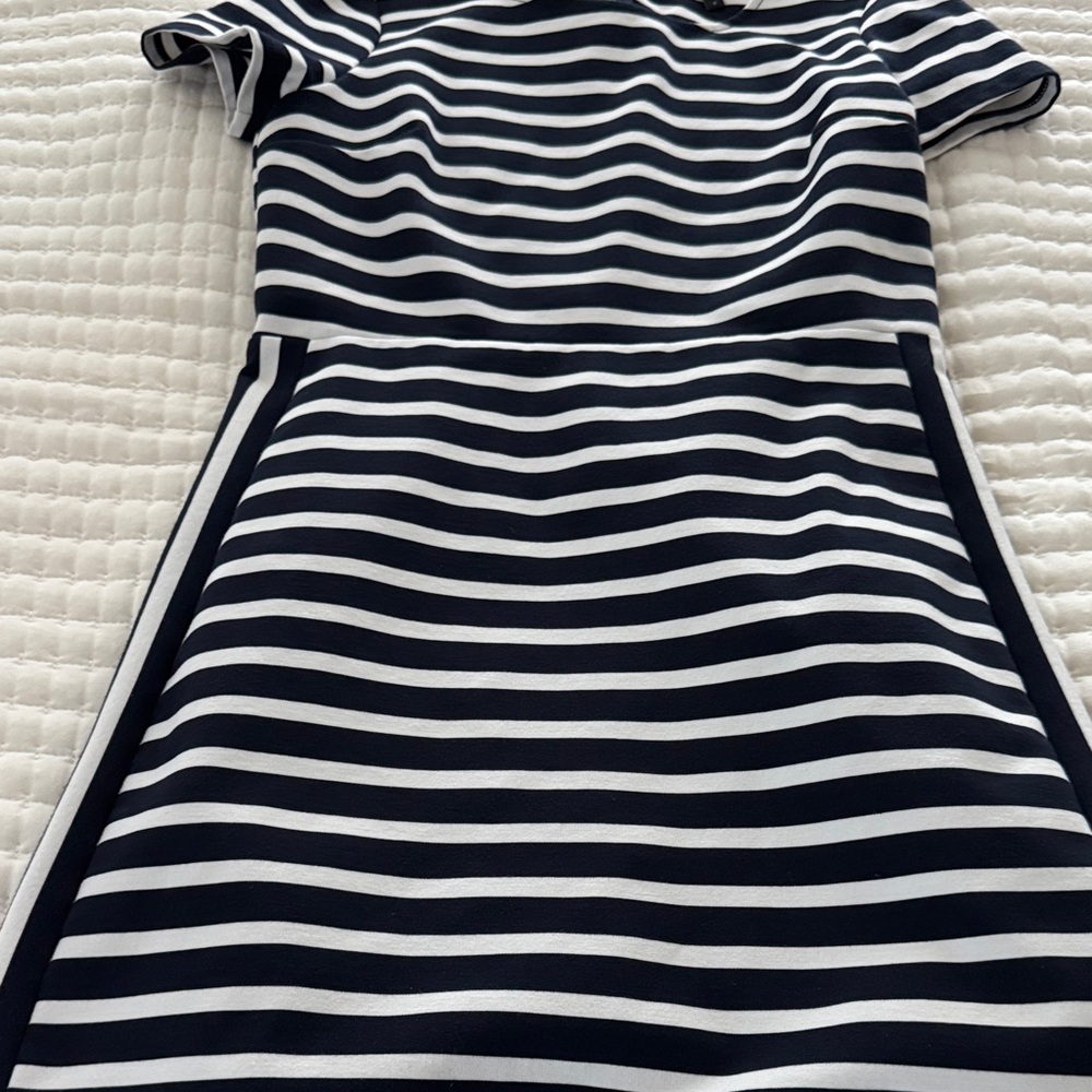 Express Striped Navy and White Dress
